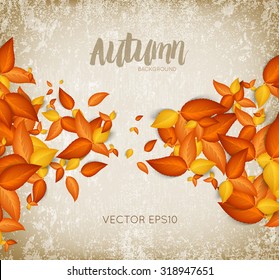 Vector golden autumn leaves over old weathered paper background