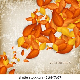 Vector golden autumn leaves over old weathered paper background