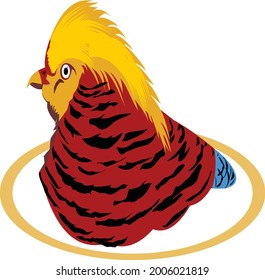 vector, golden bird's head, very suitable for t-shirts, and for your community to look more elegant