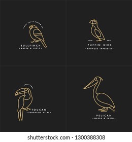 Vector golden color illustration set of birds - puffin, pelican, bullfinch, toucan in trendy linear style. Logo or label icon