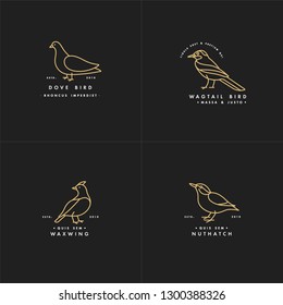 Vector golden color illustration set of birds - pigeon, nuthatch, waxwing, wagtail in trendy linear style. Logo or label icon