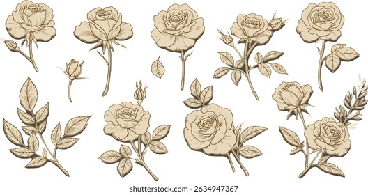 Fondo de línea de flores de oro de Vector, Fondo de pantalla de peonías de oro. Ornamento de la naturaleza de Antiguas, gráfico lujoso de la boda de la floración, patrón japonés botánico