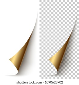 Vector golden foil vertical paper corner rolled up with soft shadow on white and transparent background. 3D page corner curled. Realistic design element.