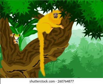 vector golden lion Tamarin in amazon rainforest jungle