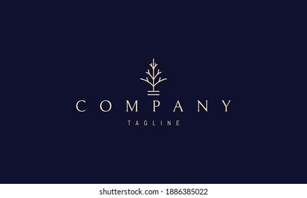 Logotipo vectorial dorado en el que una imagen abstracta de un árbol de abeto minimalista en un estilo lineal.