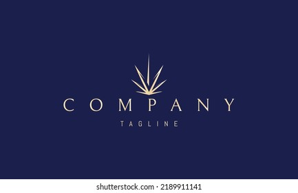 Logo de oro vectorial en el que una imagen abstracta de hojas de cannabis en forma de estrella.
