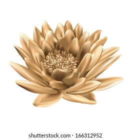 Vector golden Lotus flower