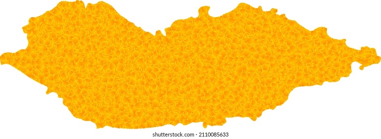 Mapa de oro vectorial de la isla de Socotra. Mapa de la isla de Socotra aislado en un fondo blanco. Patrón de objetos dorados basado en el mapa amarillo sólido de la isla Socotra.
