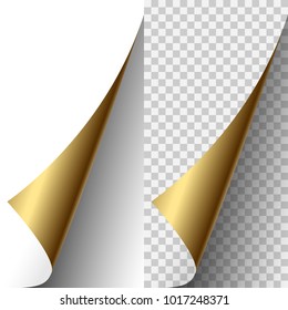 Vector golden metallic realistic paper page corner curled up. Paper sheet folded with soft shadows on light transparent background. 3d illustration. Template for your design.