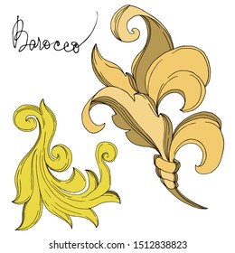 Vector Golden monogram floral ornament. Baroque design elements. Black and white engraved ink art. Isolated ornament illustration element on white background.