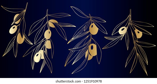 Vector Golden olive branch with golden leaves. Plant botanical garden floral foliage. Golden engraved ink art. Isolated olive illustration element on dark blue background.