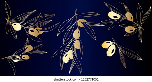 Vector Golden olive branch with golden leaves. Plant botanical garden floral foliage. Golden engraved ink art. Isolated olive illustration element on dark blue background.