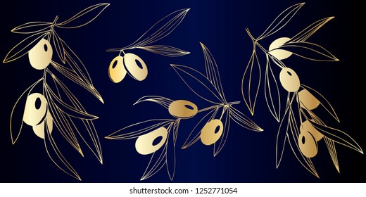 Vector Golden olive branch with golden leaves. Plant botanical garden floral foliage. Golden engraved ink art. Isolated olive illustration element on dark blue background.