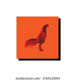 vector Golden Ratio of rooster. 