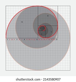 Plantilla de coeficiente de oro vectorial. Escala fibonacci con rejilla. Espiral de la relación de oro, círculo, rectángulo. Flor de vida. Geometría sagrada. Detalle Proporción Dorada.