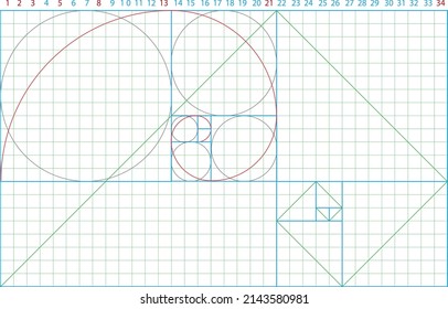 Vector golden ratio template. Fibonacci scale with grid. Golden ratio spiral, circle, rectangle. Flower of life. Sacred  Geometry. Detail Golden Proportion.