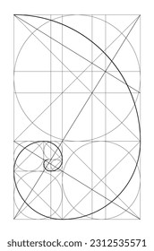 Vector golden relationship template. Golden spiral, golden ratio, Fibonacci array, Fibonacci number. Divine proportions.