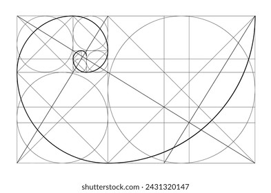 Vector golden relationship template. Golden spiral, golden ratio, Fibonacci array, Fibonacci number. Divine proportions.