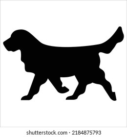 Vector Golden retriever dog breed silhouette isolated on white background