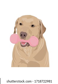 Vector golden retriever dog with pink toy