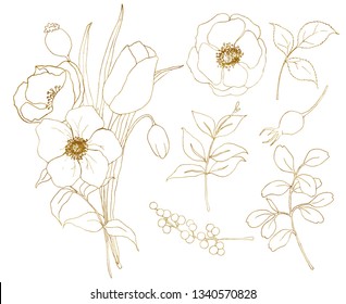 Vector golden sketch anemone and tulip big set. Hand painted flowers, eucalyptus leaves, berries and branch isolated on white background for design, print or fabric