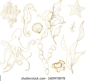 Vector golden sketch set with underwater life. Hand painted seahorse, laminaria, starfish and shell isolated on white background. Aquatic line art illustration for design, print or background.