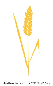 Vector golden spikelet of wheat isolated on white background. Hand drawn color clipart in flat style. Theme of bakery products, flour, harvest, thanksgiving