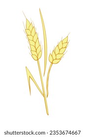 Vector golden spikelet of wheat isolated on white background. Hand drawn color clipart in flat style. Theme of bakery products, flour, harvest, thanksgiving
