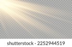 Vector golden sun light effect. Glowing sunrays on black background. Stock royalty free vector