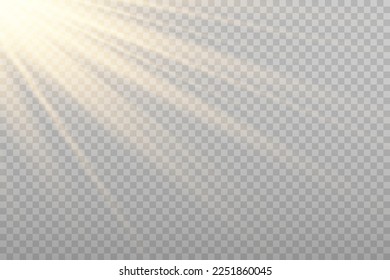 Vector golden sun light effect. Glowing sunrays on transparent background. Stock royalty free vector