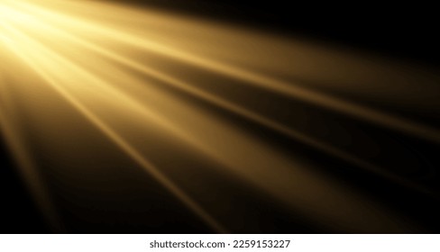 Vector golden sun light effect. Glowing sunrays on black background. Stock royalty free vector