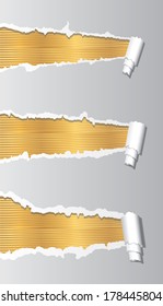 Vector golden template under ripped paper.