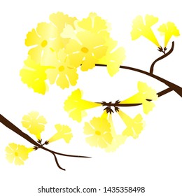 vector golden trumpet flower , beautiful yellow at garden and park in summer time 