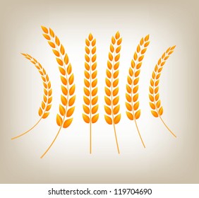 Vector golden wheat heads
