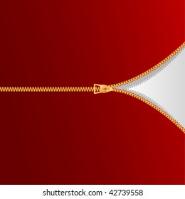 cremallera de oro vectorial