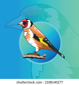 
Vector Goldfinch's Red Face Illustration Art Bird Pinch