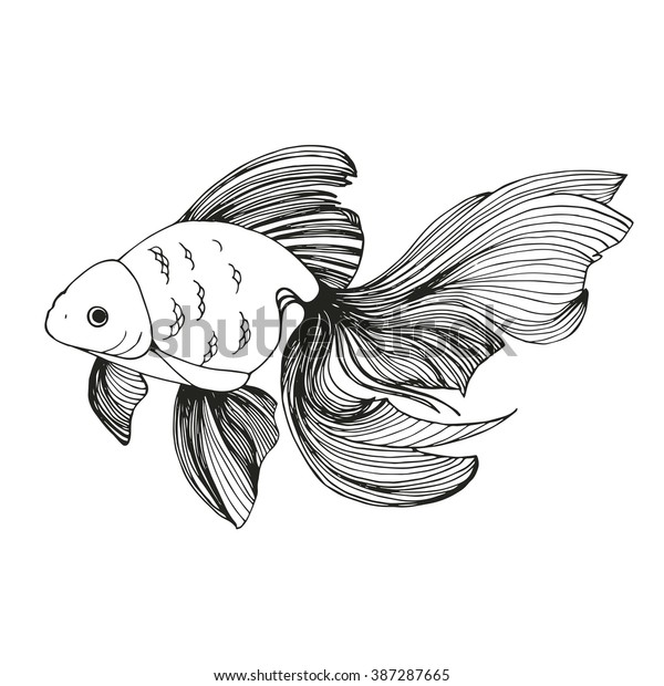 Download Vector Goldfish Stock Vector (Royalty Free) 387287665