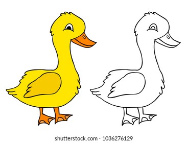 vector, goose character, book coloring