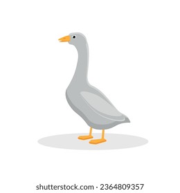 Vector goose. Flat illustration. Suitable for animation, using in web, apps, books, education projects. No transparency, solid colors only. Svg, lottie without bags. svg