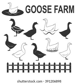 vector goose icon set, goose silhouette, isolated goose, goose sign, farm logo templates, butcher shop label,cuts of goose, butcher cuts scheme and design elements