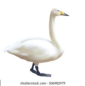 Vector goose isolated on white background
