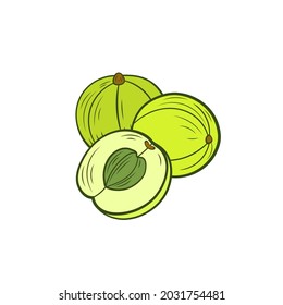 Vector gooseberries, amla illustration, berries with leaves isolated on white background, colorful icon.