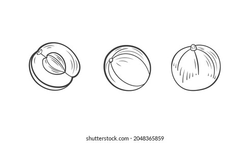 Vector gooseberries outline drawings set, amla illustration, berries isolated on white background, sketched icons.