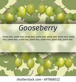 Vector gooseberry banner