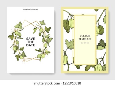 Rama de vectores Gooseberry. Hoja verde. Planta vegetal de jardín botánico follaje floral. Borde decorativo floral de la tarjeta de fondo de boda. Gracias, rsvp, invitación elegante ilustración de tarjeta de conjunto de gráficos banner.