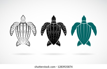 Vector of gooseberry turtle design on white background. Sea animals. Easy editable layered vector illustration.