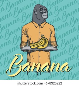 Vector gorilla with bananas illustration. Vector monkey and food concept