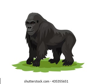 Vector gorilla monkey