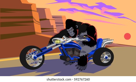 Vector Gorilla On Motortrike Rides Through Stock Vector (Royalty Free ...