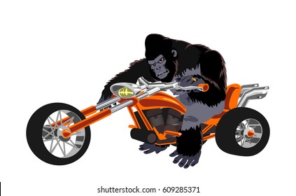  vector gorilla on orange motorcycle in cartoon style 